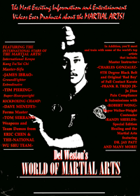 The World of Martial Arts