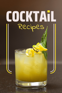 Cocktail Recipes 1